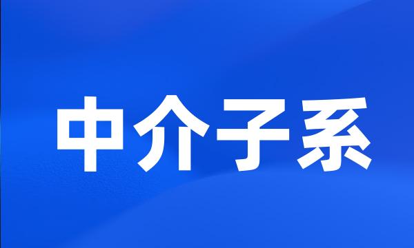 中介子系