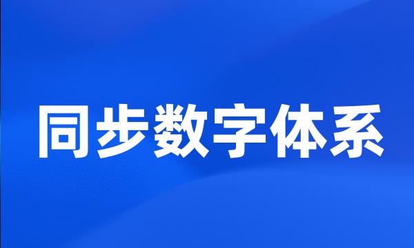 同步数字体系