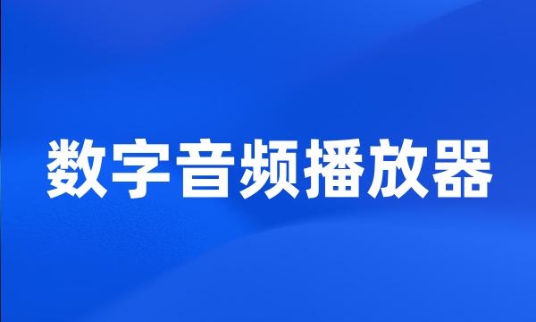 数字音频播放器