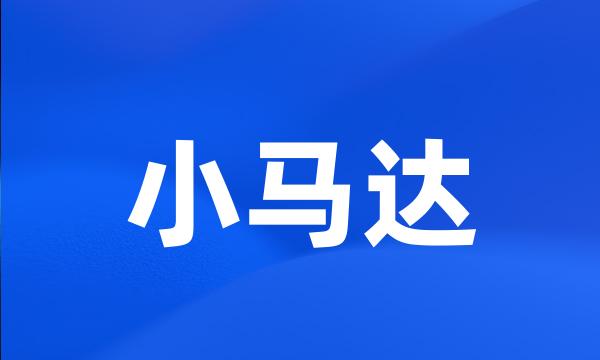 小马达