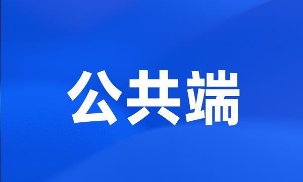 公共端