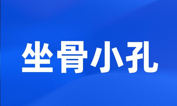 坐骨小孔