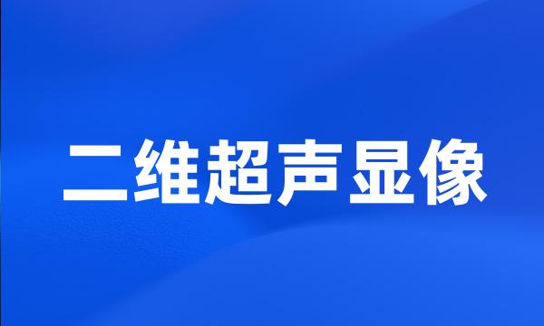 二维超声显像