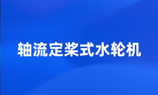 轴流定桨式水轮机