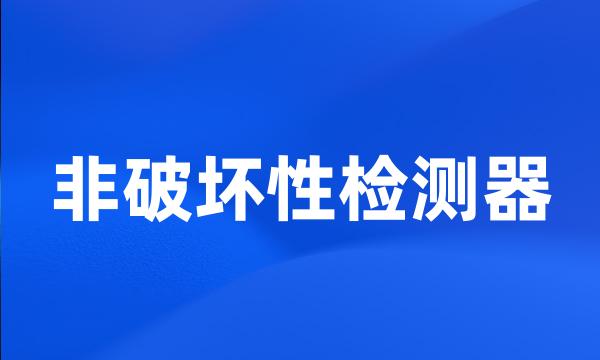 非破坏性检测器