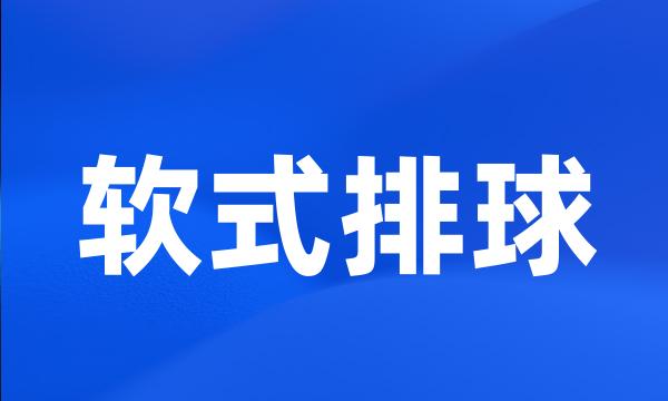 软式排球