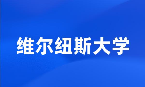 维尔纽斯大学