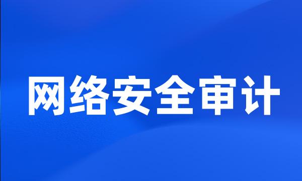 网络安全审计