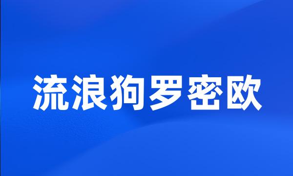 流浪狗罗密欧