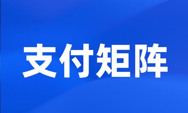 支付矩阵