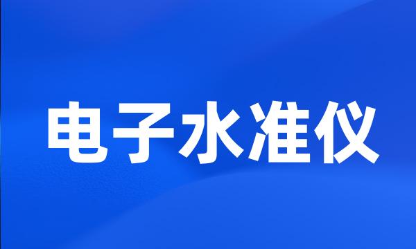 电子水准仪