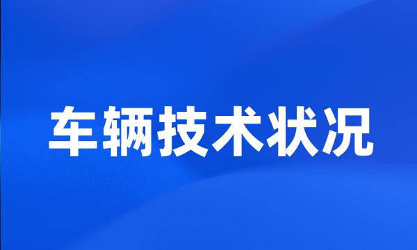 车辆技术状况