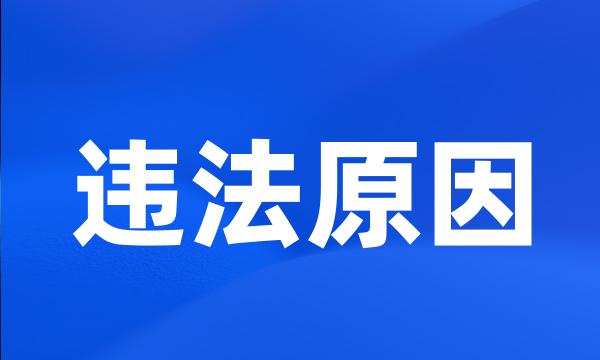 违法原因