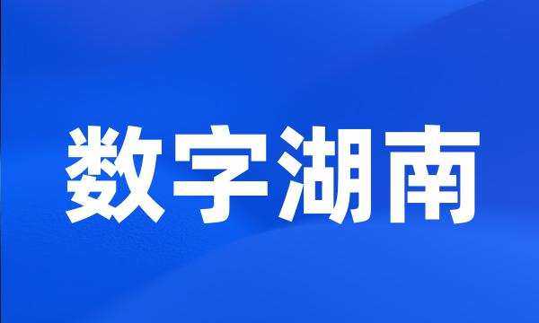 数字湖南