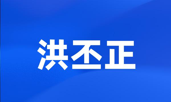 洪丕正