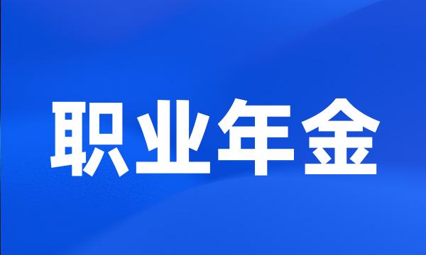 职业年金