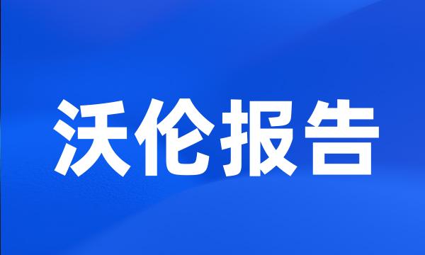 沃伦报告