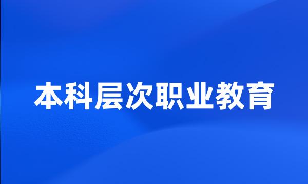 本科层次职业教育