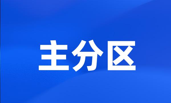 主分区