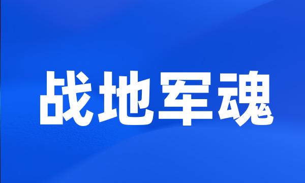 战地军魂