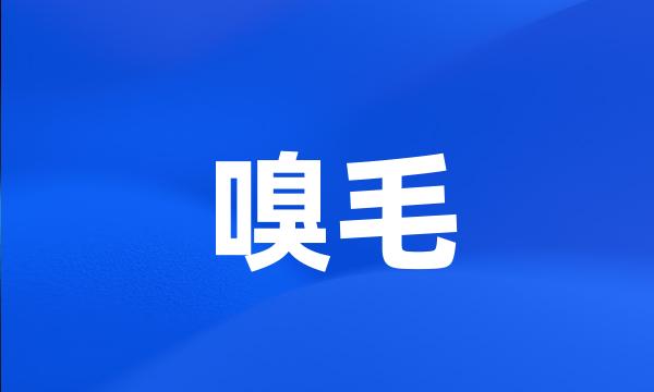 嗅毛