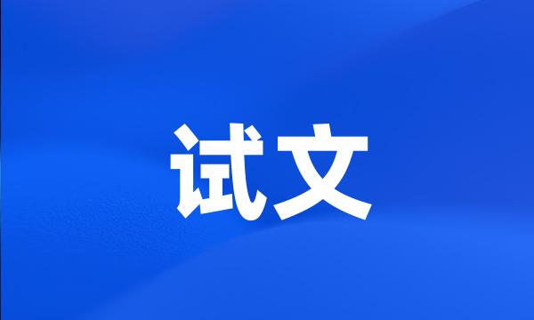 试文