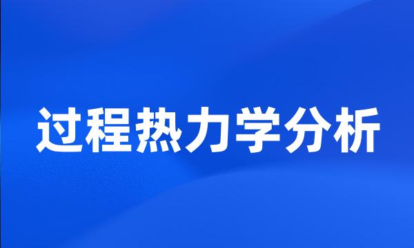 过程热力学分析