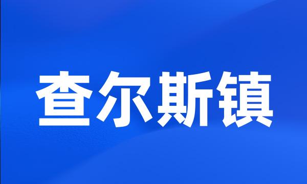 查尔斯镇