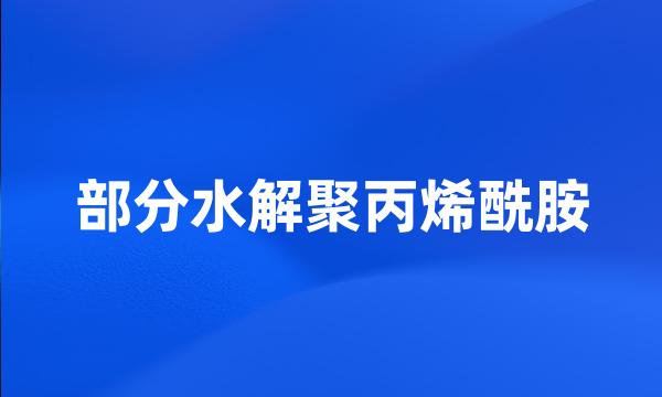 部分水解聚丙烯酰胺