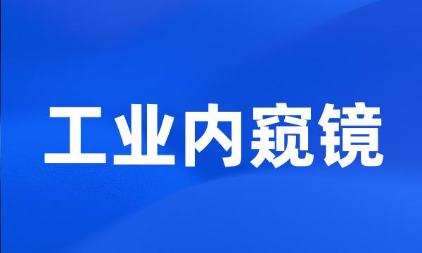 工业内窥镜