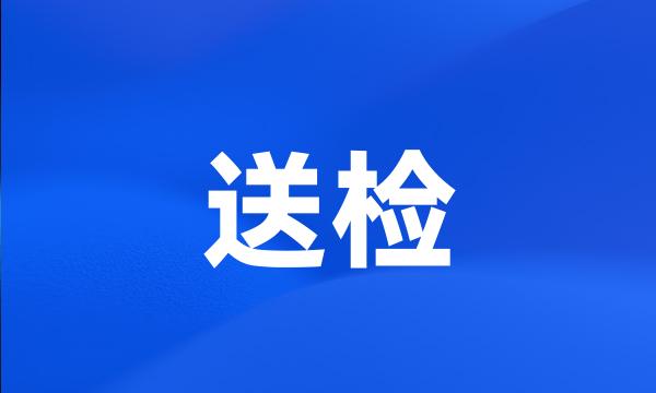 送检