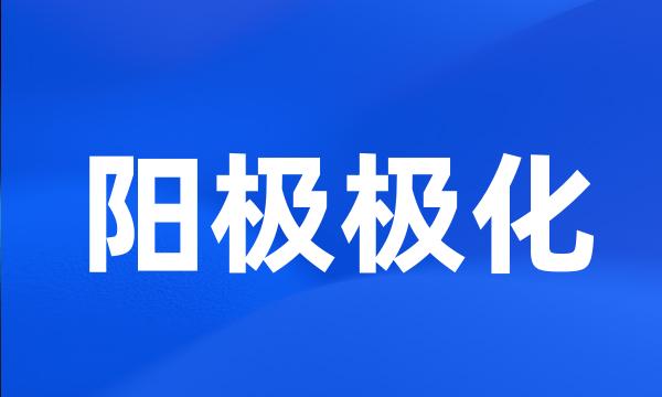 阳极极化