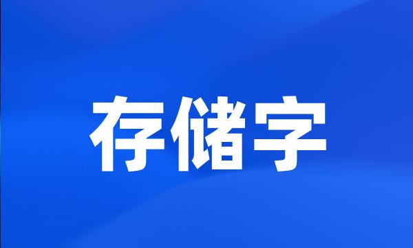 存储字