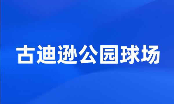 古迪逊公园球场