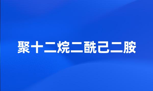 聚十二烷二酰己二胺