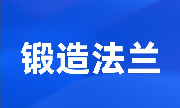 锻造法兰