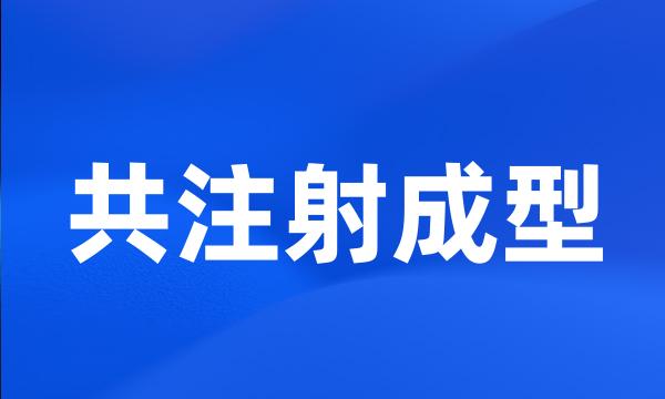 共注射成型