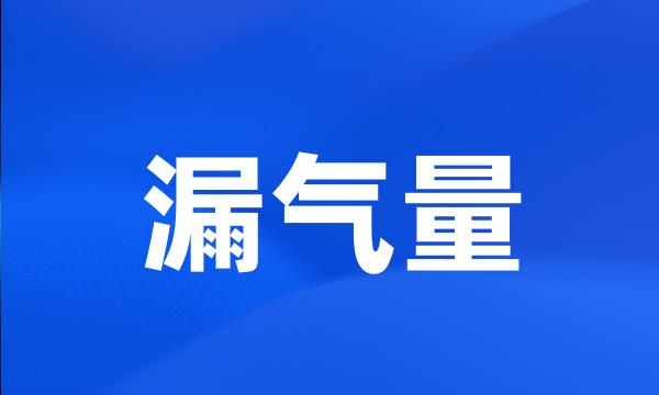 漏气量