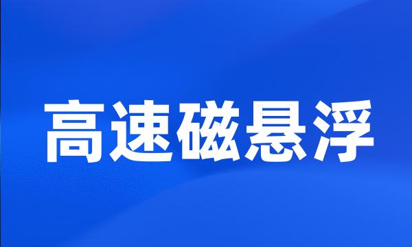 高速磁悬浮