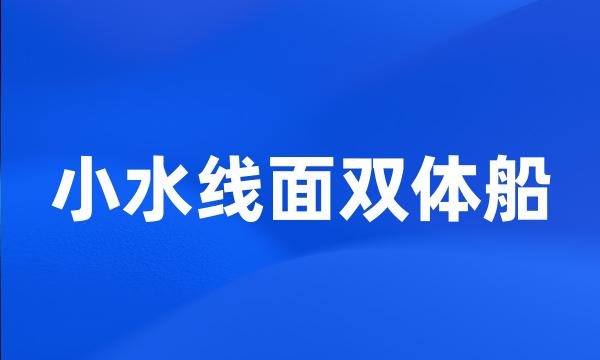 小水线面双体船