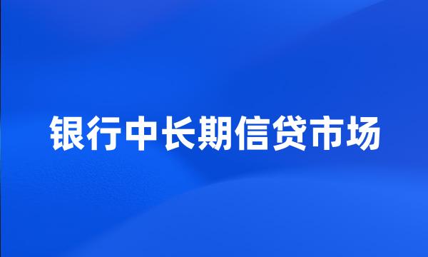 银行中长期信贷市场