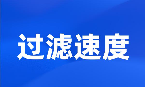 过滤速度