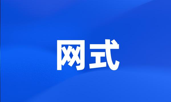 网式