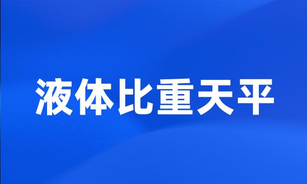 液体比重天平