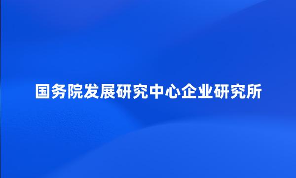 国务院发展研究中心企业研究所