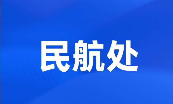 民航处