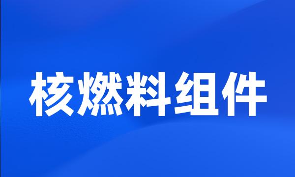 核燃料组件