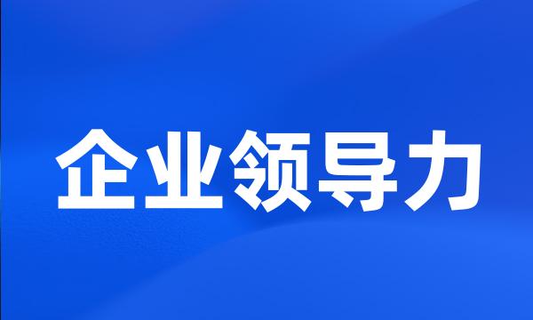 企业领导力