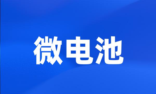 微电池