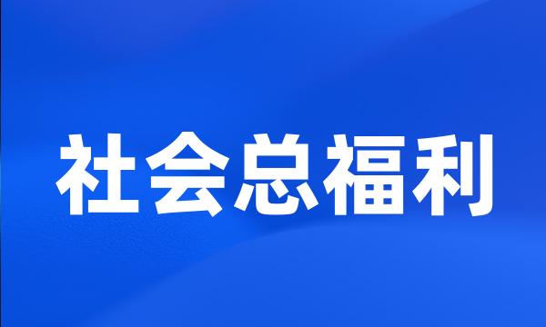 社会总福利